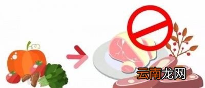 减肥不吃主食真的有用吗