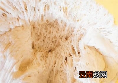 为什么要在50度左右的水温时放入馒头生坯