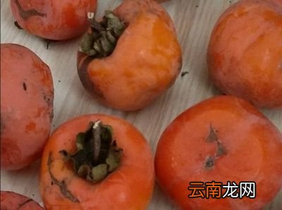 柿子的脱涩原理是什么