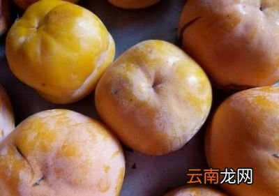 柿子的脱涩原理是什么