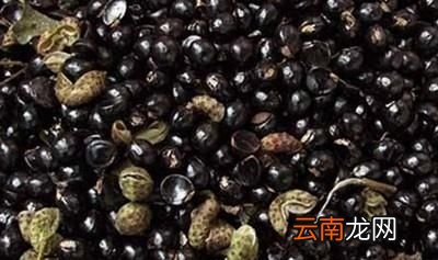 农村种植花椒树直接用买的花椒籽播种可以吗