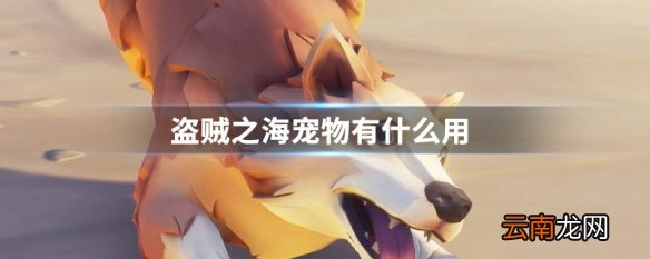 盗贼之海宠物有什么用 盗贼之海宠物作用