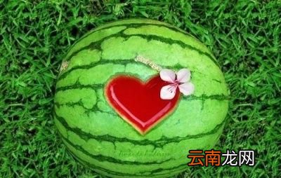 何时吃水果最佳