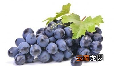 何时吃水果最佳