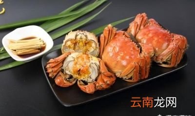 如何判断大闸蟹的肥美度