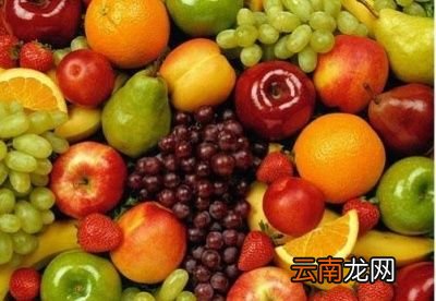 怎么样喝酒不易醉