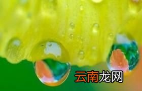 今年的大暑会“凉飕飕”吗