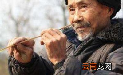 “大暑凉飕飕”和“立冬笑死牛”有什么关系