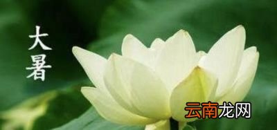 “大暑凉飕飕”和“立冬笑死牛”有什么关系