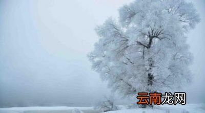 “大暑凉飕飕”和“立冬笑死牛”有什么关系