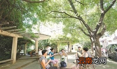 夏天在农田里干活太热了怎么办