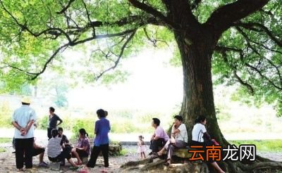 夏天在农田里干活太热了怎么办