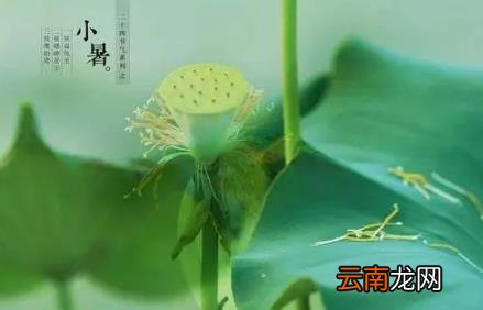 今年小暑是几月几号 2022年过了小暑热吗