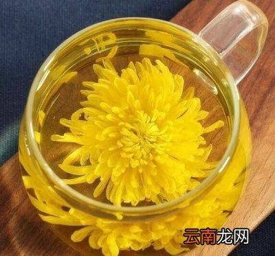 常喝菊花茶的好处
