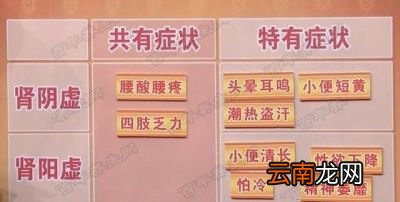 什么是肾虚肾虚有什么表现