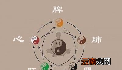 什么人群需要补肾