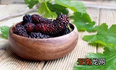 补肾益气最简单的方法是什么