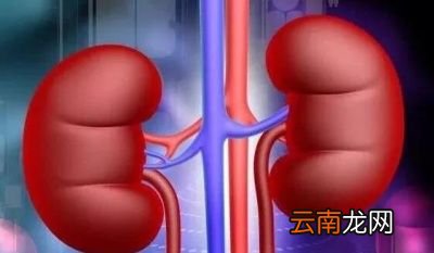 补肾益气最简单的方法是什么