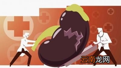 肾脏是什么结构