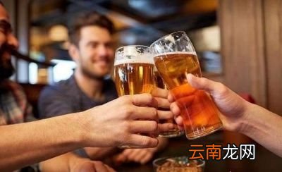 八瓶啤酒有多大的量