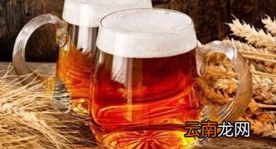 八瓶啤酒有多大的量