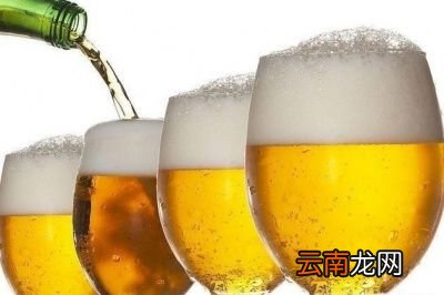 八瓶啤酒有多大的量