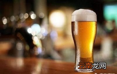 八瓶啤酒有多大的量