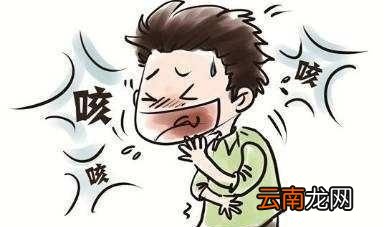 治咳嗽的梨是哪种梨