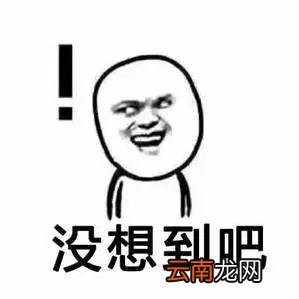 用了抖加后没流量了 用抖加是不是号就废了