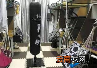 如何做好一名直播主播 知识型主播开直播的知识