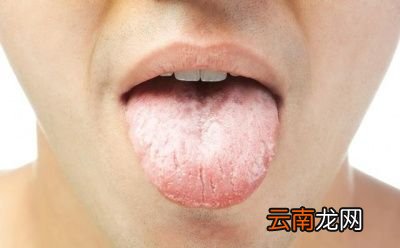 每天坚持喝枸杞水坚持喝一个月会有什么好处