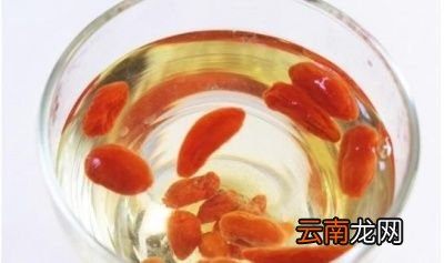 枸杞泡水好处多坚持喝4个好处令人惊喜