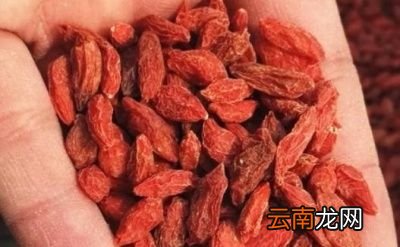 枸杞泡水好处多坚持喝4个好处令人惊喜