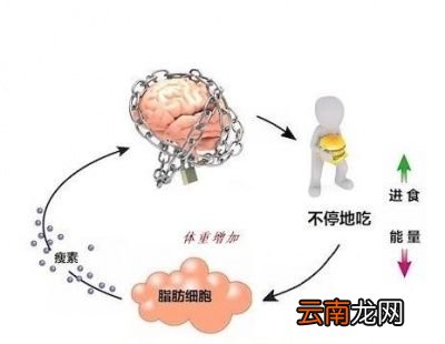 老想吃麻辣的吃肉怎么办