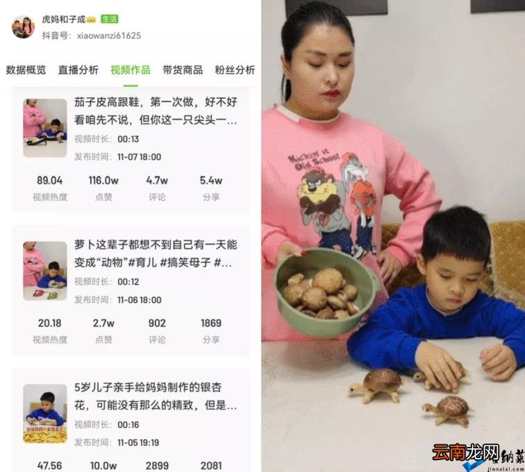 飞瓜数据分析平台 短视频大数据分析报告