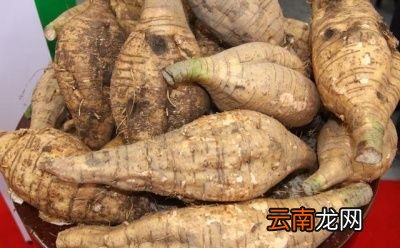 葛根能治什么病都有什么功效