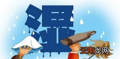葛根能治什么病都有什么功效