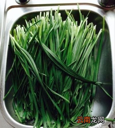 韭菜水的具体做法