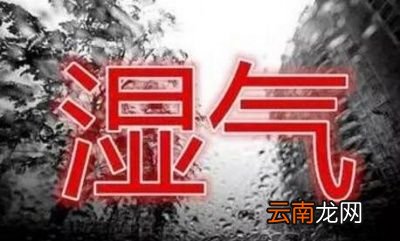 为什么有的女人容易被湿气缠身怎么祛湿才好