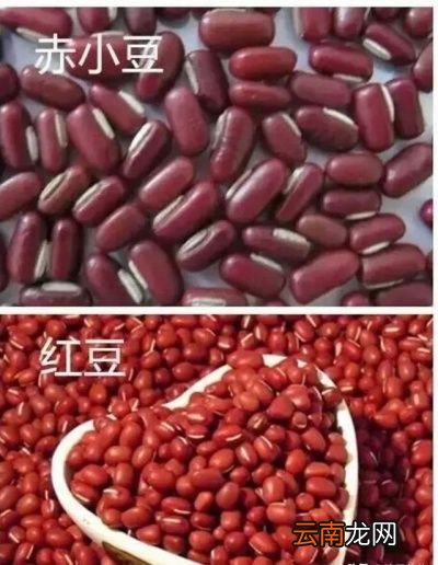 湿气重平时该如何祛湿才好