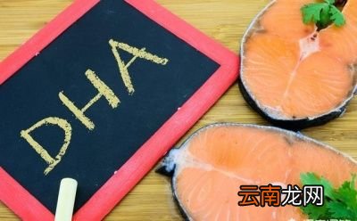 怀孕期间开始服用DHA的最佳时间是多久