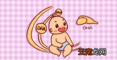 孕期到底要吃DHA吗为什么
