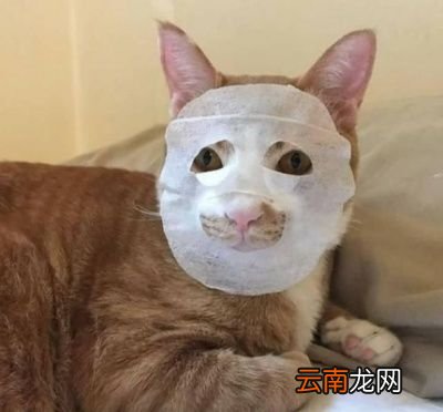 面膜是否真的能给皮肤补水