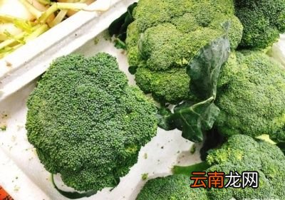 小米可以和胡萝卜西兰花红枣鸡肉一起煮粥吗