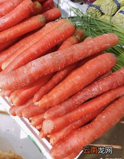 小米可以和胡萝卜西兰花红枣鸡肉一起煮粥吗