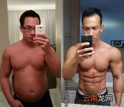 怎样的体脂率算是健康的