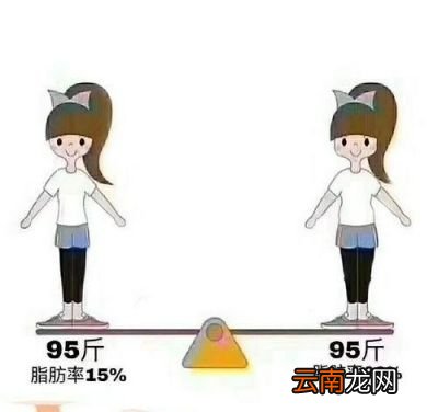 体脂率有何意义