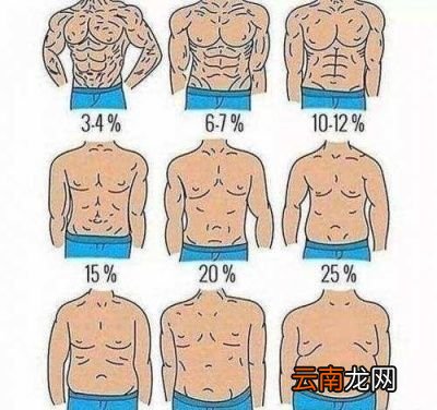 体脂率有何意义