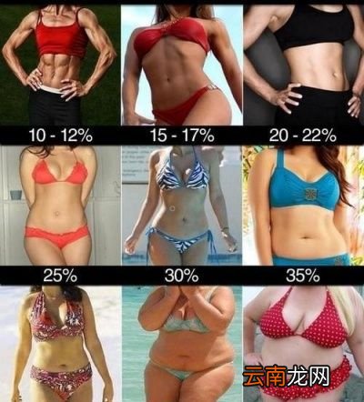 如何把体脂率控制在合理水平