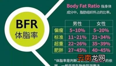 如何把体脂率控制在合理水平